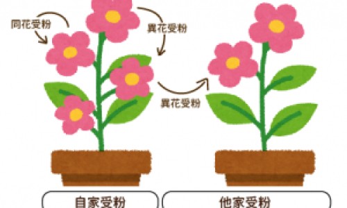 中药温热寒凉的分类依据是什么-中药 温热网 - 网站提供中药温热放冰箱里行吗小常识、中药温热寒凉的分类依据是什么