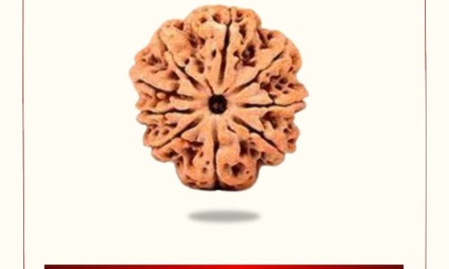 中药温热能放冰箱冷藏吗-中药 温热网 - 网站提供中药温热放冰箱里行吗小常识、中药温热寒凉的分类依据是什么