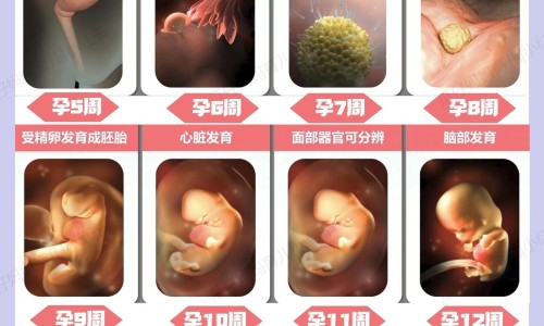 中药温热能放冰箱冷藏吗-中药 温热网 - 网站提供中药温热放冰箱里行吗小常识、中药温热寒凉的分类依据是什么