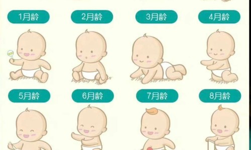 中药温热的时候可以放冰箱吗-中药 温热网 - 网站提供中药温热放冰箱里行吗小常识、中药温热寒凉的分类依据是什么